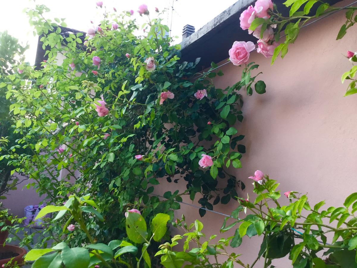 B&B Pescarenico Лекко Экстерьер фото